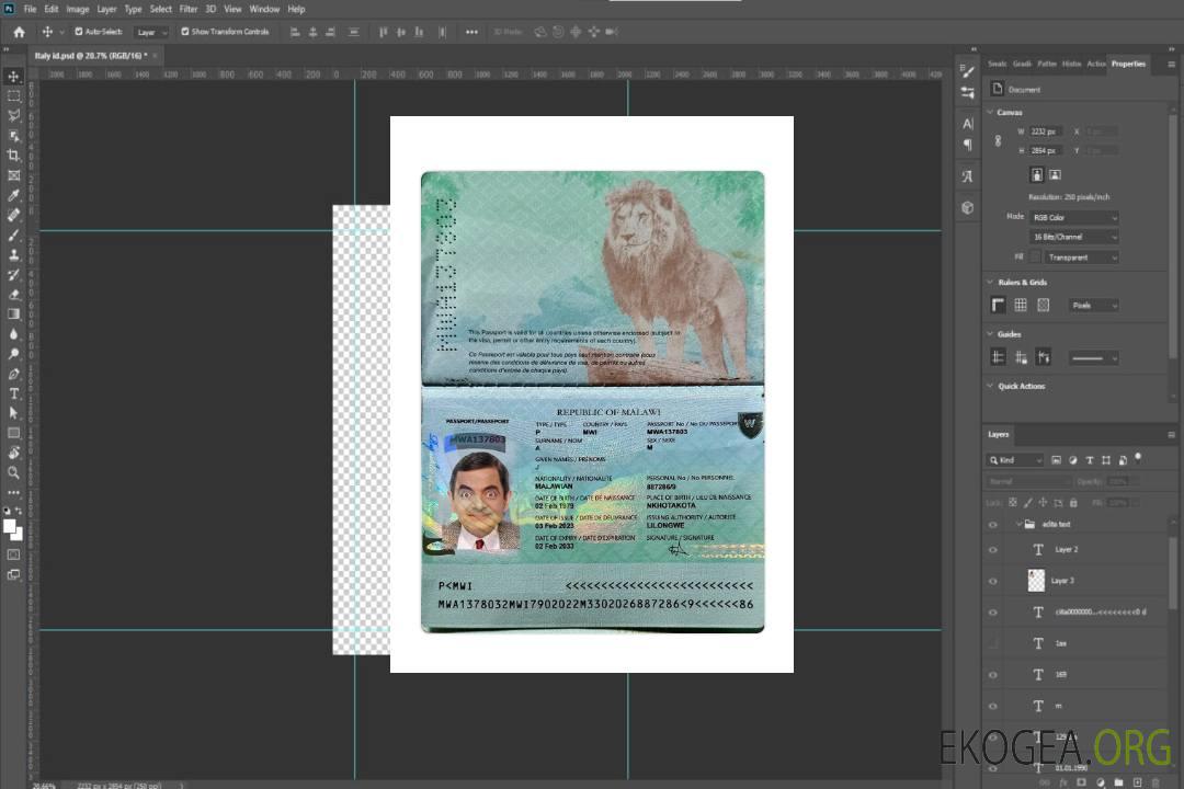 Passeport du Malawi 2023-présent template Passeport du Malawi 2023-présent template
